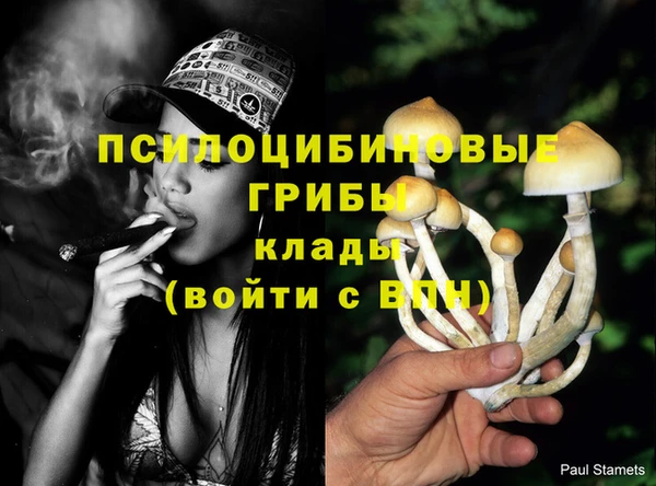 jwh Апатиты
