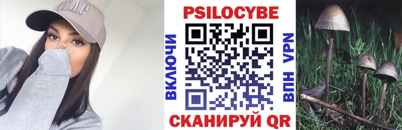 блэк спрут   где можно купить наркотик  Калач  Галлюциногенные грибы MAGIC MUSHROOMS 
